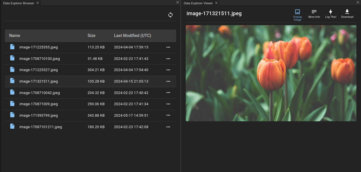 Data Explorer Browser | Spacefarer Docs
